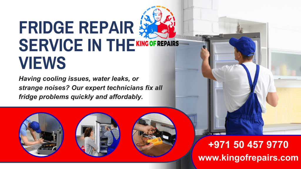 Fridge Repair Service in The Views